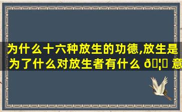 为什么十六种放生的功德,放生是为了什么对放生者有什么 🦊 意思